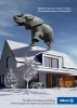 Allianz Elephant 1